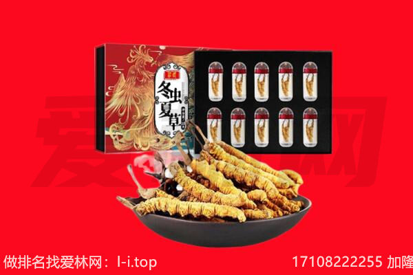 清远回收虫草.jpg